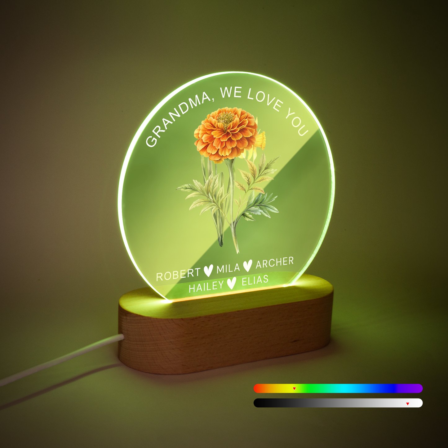 Personalized Birth Month Flower Gifts for Mom, Acrylic Night Light