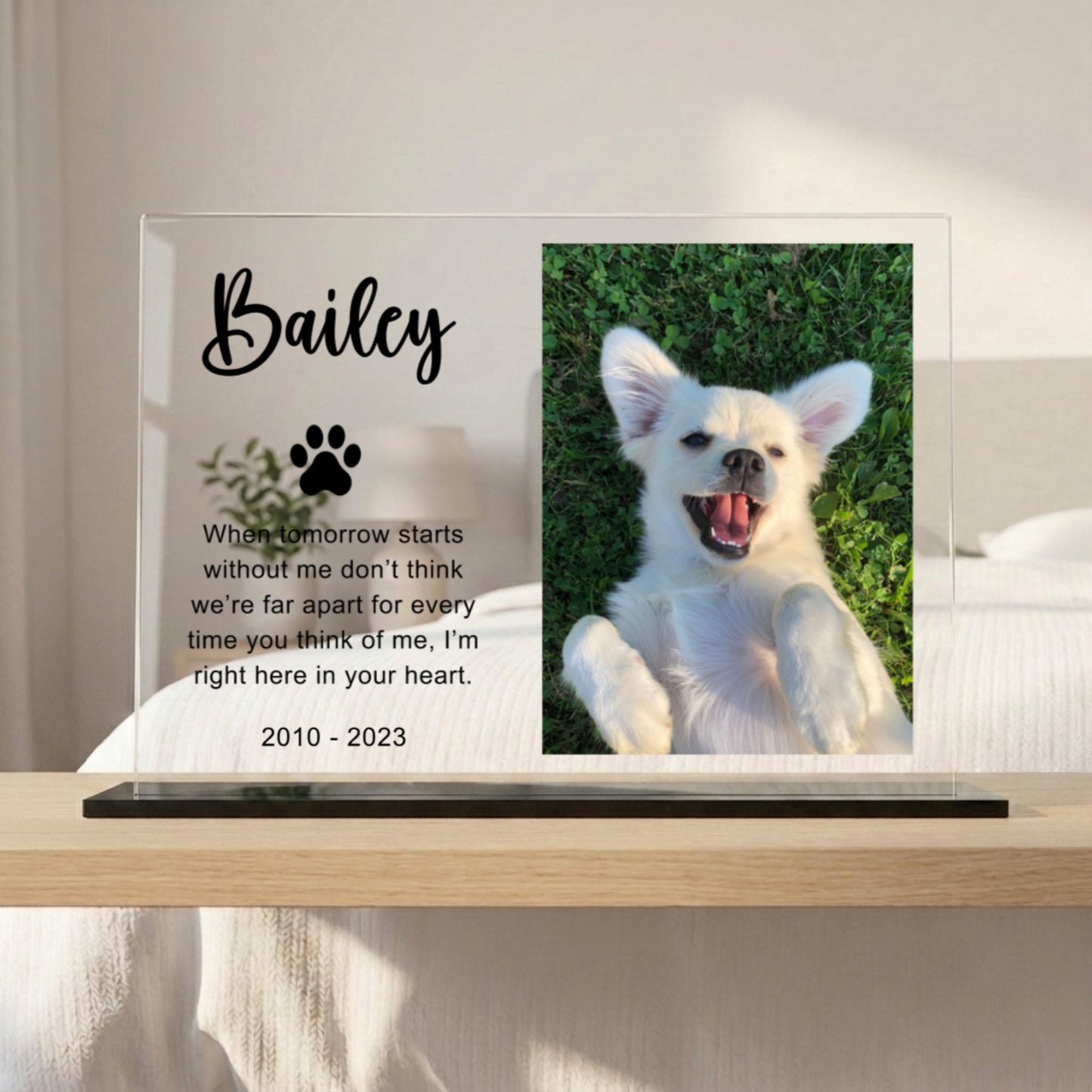 Memorial Plaque with Photo - Personalized Gifts for Pet Loss, Sympathy Gift for Cat, Dog and Any Other Animals | Custom Acrylic Plaque