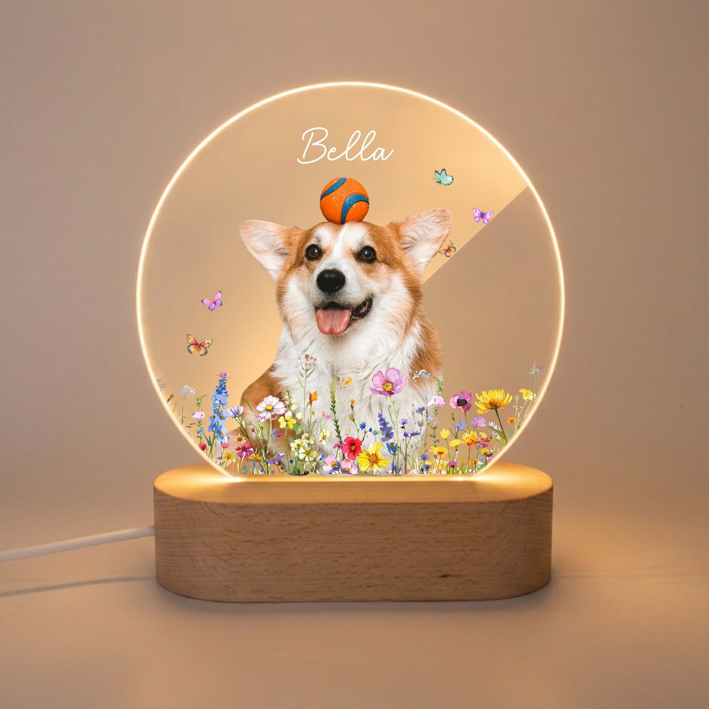 Personalized Pet Photo Memorial Night Light: Dog Cat Loss Sympathy Gift